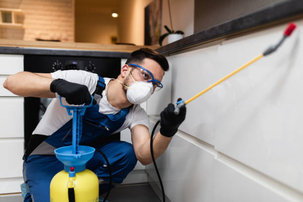 Best Pest Prevention Services  in Dawsonville, GA