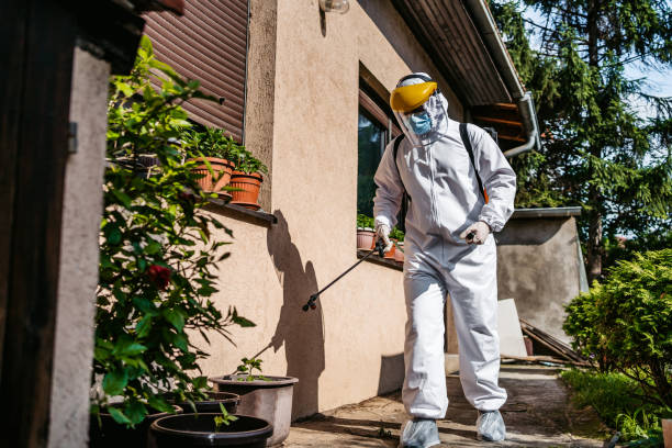 Best Best Pest Control Companies  in Dawsonville, GA