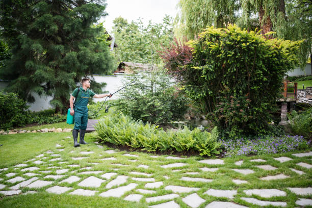 Reliable Dawsonville, GA Pest Control Solutions