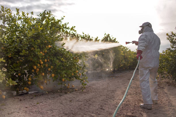 Pest Prevention Services in Dawsonville, GA