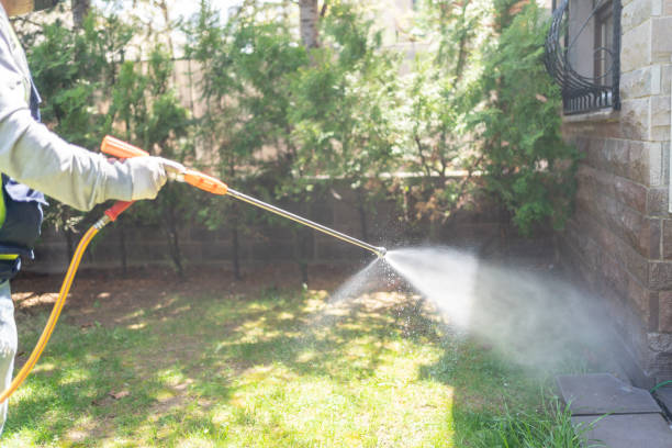 Best Affordable Pest Control Services  in Dawsonville, GA