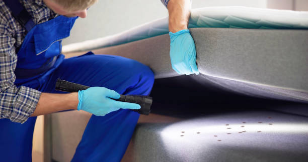Best Best Pest Control Companies  in Dawsonville, GA
