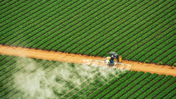 Best Insect Control  in Dawsonville, GA