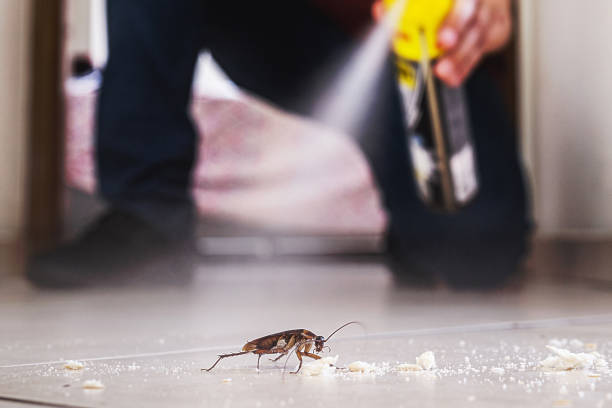 Reliable Dawsonville, GA Pest Control Solutions