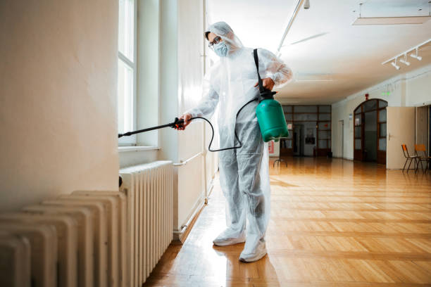 Best Emergency Pest Control  in Dawsonville, GA
